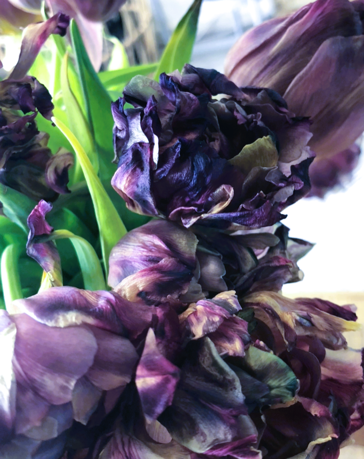 Purple Rain