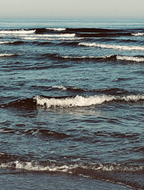 Mermaid Waves