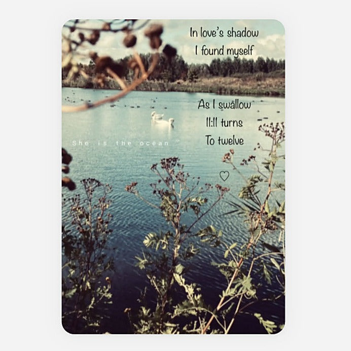 A Love's Shadow greeting Card square art print or card featuring a lakeside scene with a white swan on the water, foreground plants, and overlaid quote reading 'In love's shadow I found myself / As I swallow it turns To twelve / She is the ocean'.